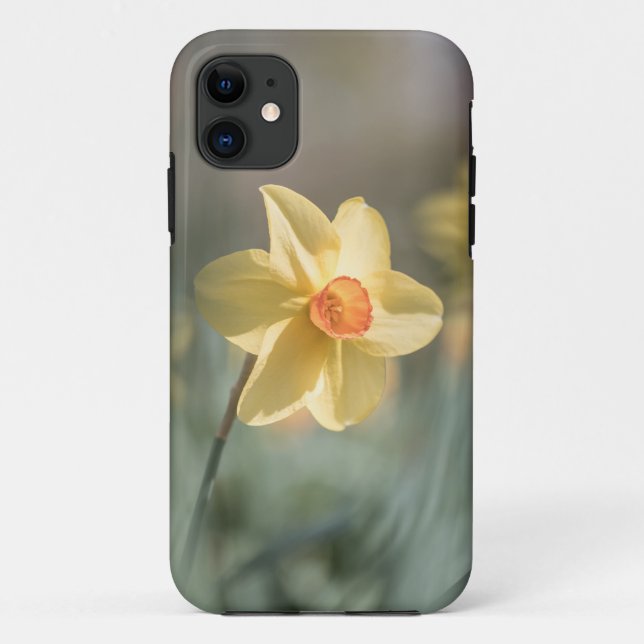 Capa Para iPhone 11 Foto Amarelo Daffodil Nature (Verso)