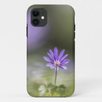 Foto da Natureza da Flor