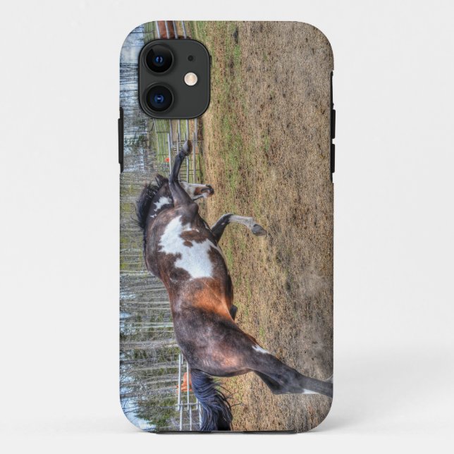 Capa Para iPhone 11 Foto de ação de Pinto Stallion Equine (Verso)