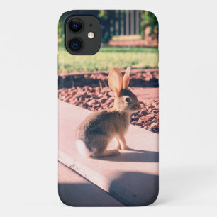 Capa Para iPhone 11 foto de coelho Easter primavera