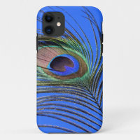 Fotografia da pena de peacock