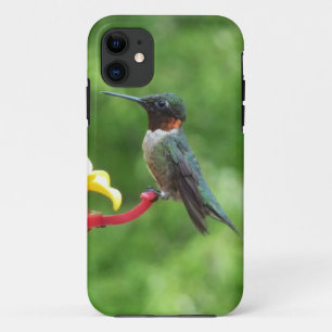 Capa Para iPhone 11 Fotografia de ave-de-galinha-do-mato-rúbi