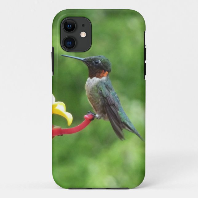 Capa Para iPhone 11 Fotografia de Beija-Flor-de-Pescoço-Rubro (Verso)