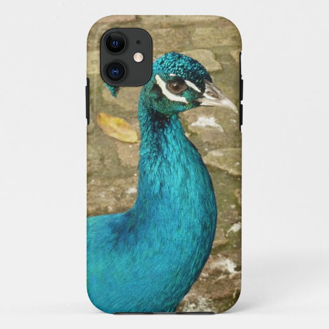 Capa Para iPhone 11 Fotografia de beleza Peacock (Verso)