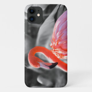 Capa Para iPhone 11 Fotografia de Flamingo Bird