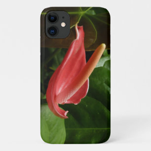 Capa Para iPhone 11 Fotografia Floral Rosa Calla Lily Elegante
