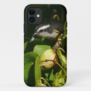 Capa Para iPhone 11 Fotografia tropical de alimentação de aves de Ba