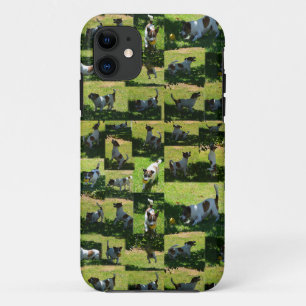 Capa Para iPhone 11 Fox Terrier, O Dia Do Duro,