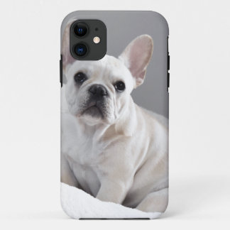 Capa Para iPhone 11 Frenchie de creme