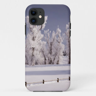 Capa Para iPhone 11 Frost cobriu árvores e cerca, Colorado