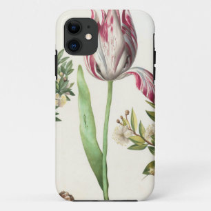 Capa Para iPhone 11 Frutas coloridas