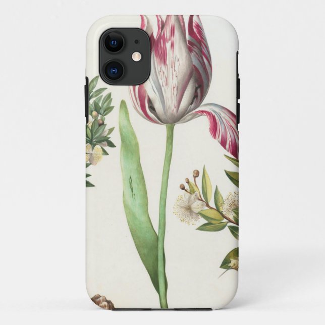 Capa Para iPhone 11 Frutas coloridas (Verso)