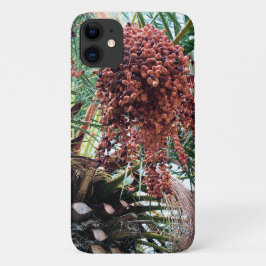 Capa Para iPhone 11 Fruto da Palmeira de Jelly