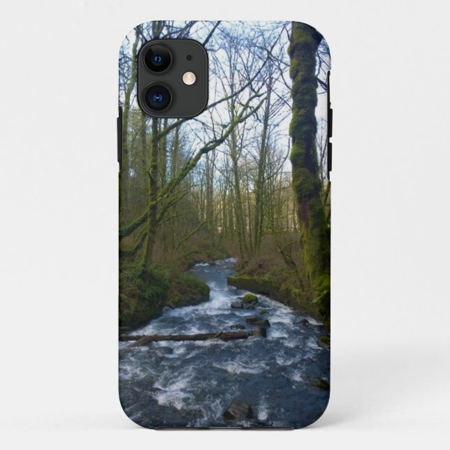 Capa Para iPhone 11 Fuga de Queda de Véu Bridal, OU (Verso)