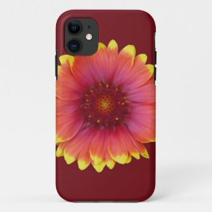Capa Para iPhone 11 Gaillardia 1