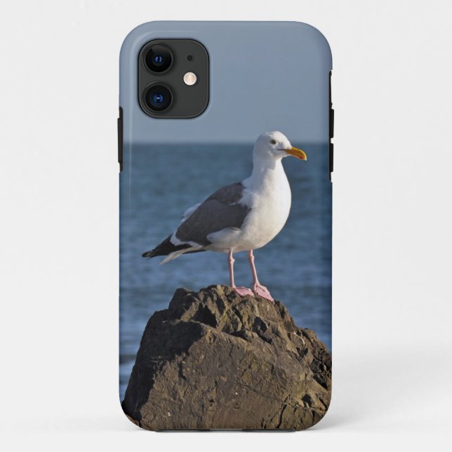 Capa Para iPhone 11 Gaivota e oceano brancos (Verso)