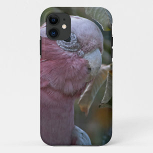 Capa Para iPhone 11 Galah ou Cacatua de Peito Rosado