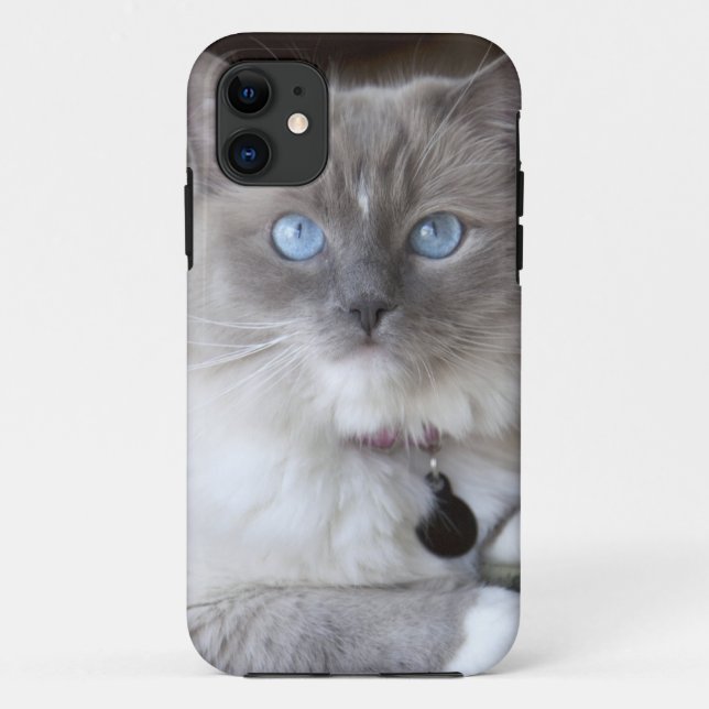Capa Para iPhone 11 Gata Ragdoll fêmea (Verso)
