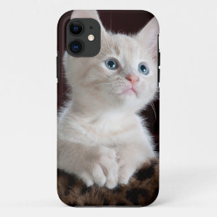 Capa Para iPhone 11 Gatinho branco super bonito