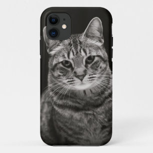 Capa Para iPhone 11 Gatinho preto do gato malhado