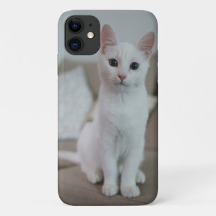 Capa Para iPhone 11 gato American white shorthair