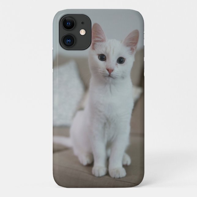 Capa Para iPhone 11 Gato branco | Zazzle_Growth. (Verso)