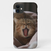 Gato de iPhone/iPad