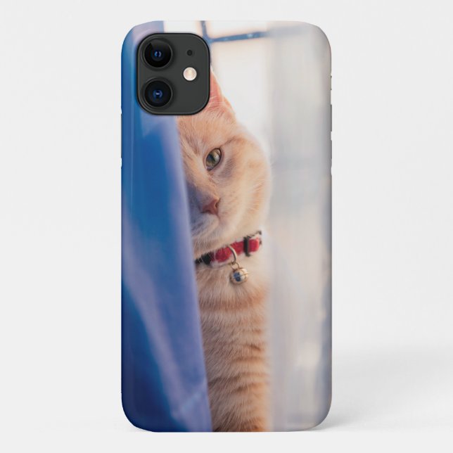 Capa Para iPhone 11 Gato de laranja vira colar próximo, azul (Verso)