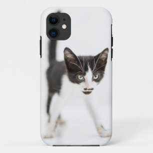 Capa Para iPhone 11 Gato pequeno