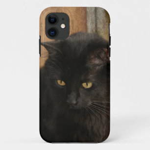 Capa Para iPhone 11 Gato preto, olhos ambarinos, tons da terra