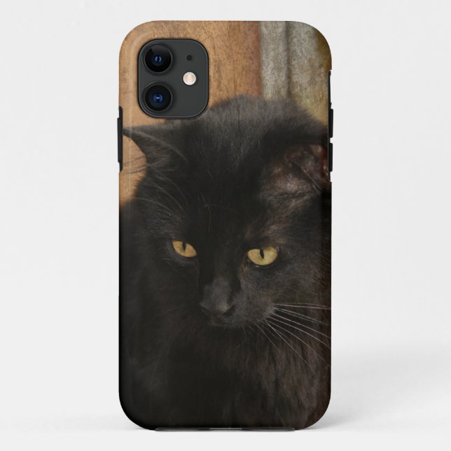 Capa Para iPhone 11 Gato preto, olhos ambarinos, tons da terra (Verso)