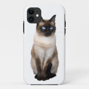 Capa Para iPhone 11 Gato Siamês em Branco