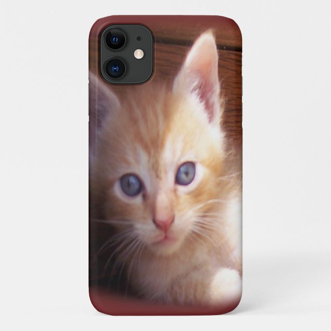 Capa Para iPhone 11 Gatos (Verso)