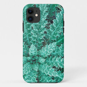 Capa Para iPhone 11 Geada no cardo, Parque Nacional Olímpico