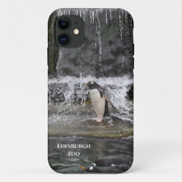 Capa Para iPhone 11 Gentoo Penguin & Friends Edinburgh Zoo Scotland