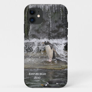Capa Para iPhone 11 Gentoo Penguin & Friends Edinburgh Zoo Scotland