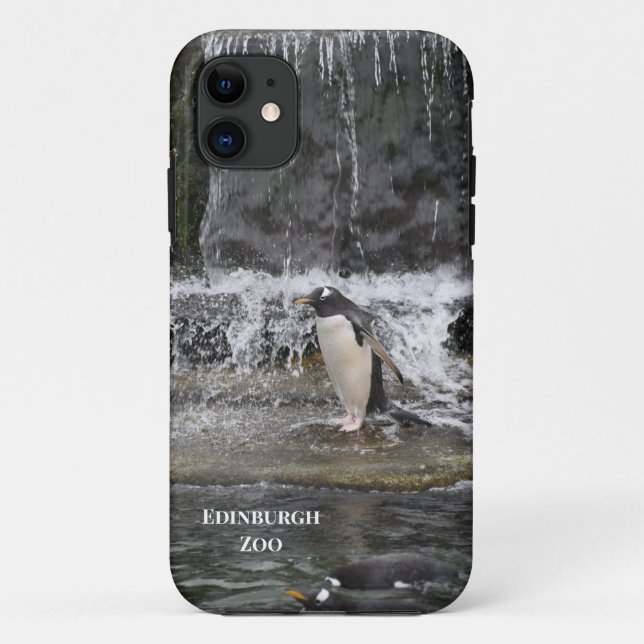 Capa Para iPhone 11 Gentoo Penguin & Friends Edinburgh Zoo Scotland (Verso)