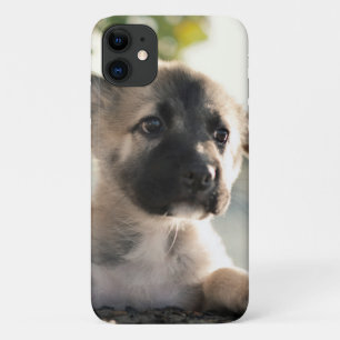 Capa Para iPhone 11 German shepherd Puppy Sobre A Borda