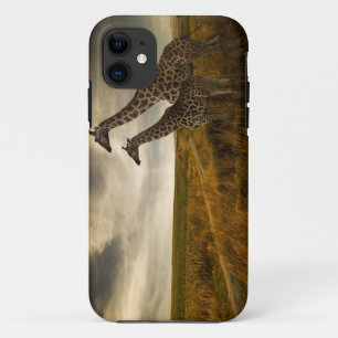 Capa Para iPhone 11 Girafas e a paisagem