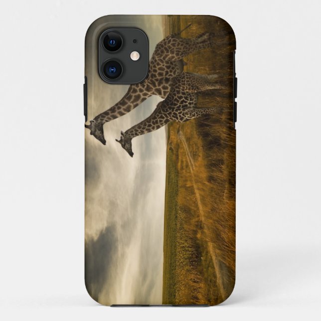 Capa Para iPhone 11 Girafas e a paisagem (Verso)