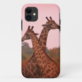 Capa Para iPhone 11 Girafas em pé em mopani com céu rosa