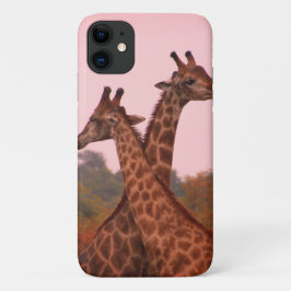 Capa Para iPhone 11 Girafas em pé em mopani com céu rosa