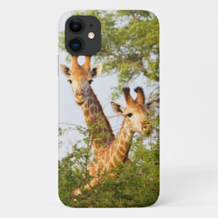 Capa Para iPhone 11 Girafas espiando acima da vegetação