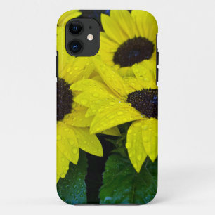 CAPA PARA iPhone 11 GIRASSÓIS LINDOS DO JARDIM