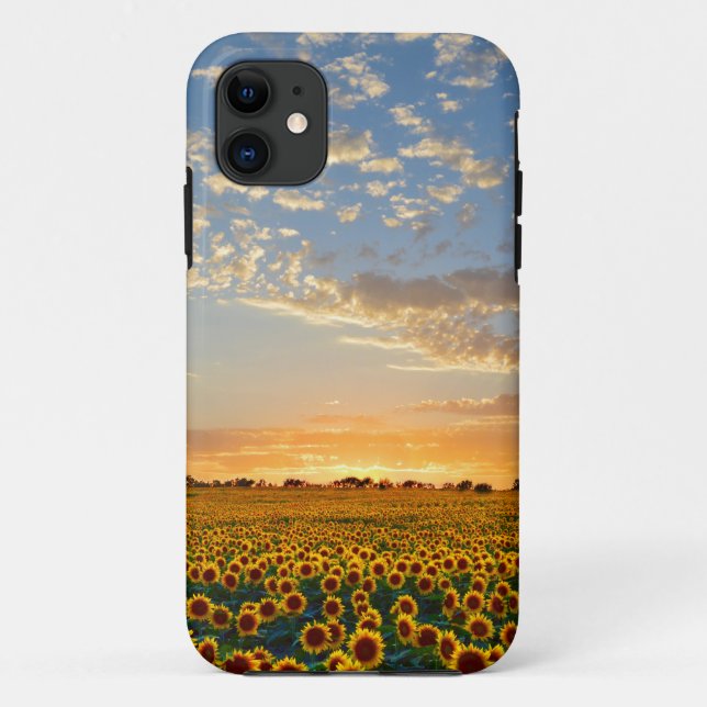Capa Para iPhone 11 Girassóis no por do sol (Verso)