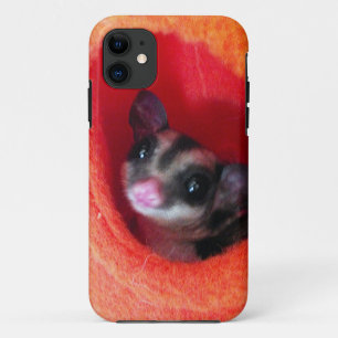 Capa Para iPhone 11 Glider em Laranja na Cama