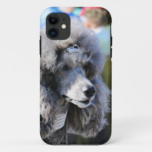 Capa Para iPhone 11 Goldberg - Chanel - caniche padrão
