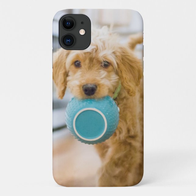 Capa Para iPhone 11 Goldendoodle Carregando Jantar Bowl (Verso)