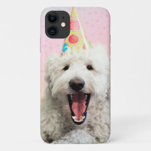 Capa Para iPhone 11 Goldendoododle com chapéu de festa