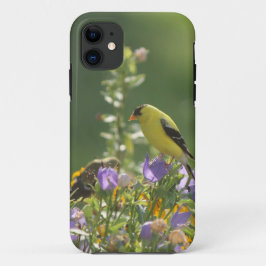 Capa Para iPhone 11 Goldfinch em uma Flor Harebell
